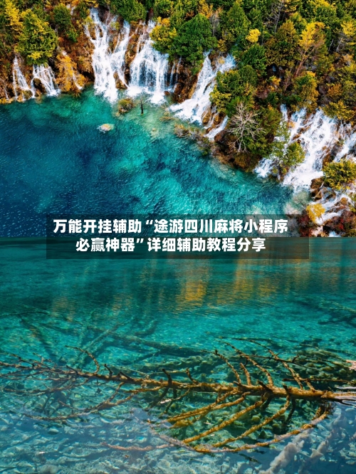 万能开挂辅助“途游四川麻将小程序必赢神器”详细辅助教程分享-第2张图片