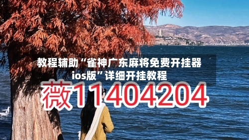 教程辅助“雀神广东麻将免费开挂器ios版	”详细开挂教程-第2张图片