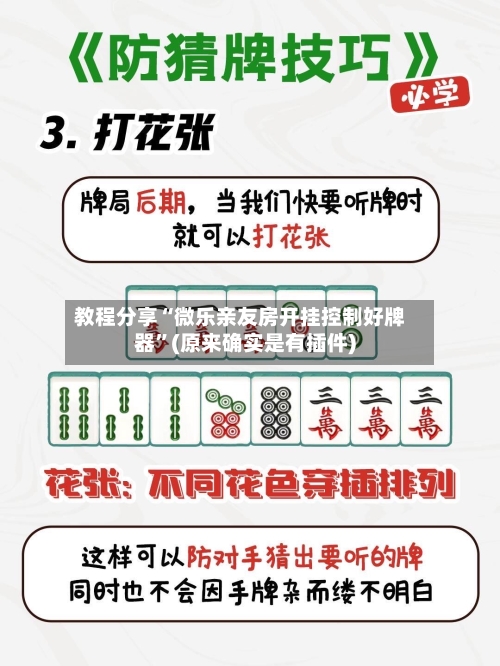 教程分享“微乐亲友房开挂控制好牌器”(原来确实是有插件)-第2张图片