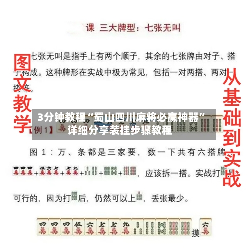 3分钟教程“蜀山四川麻将必赢神器	”详细分享装挂步骤教程-第2张图片