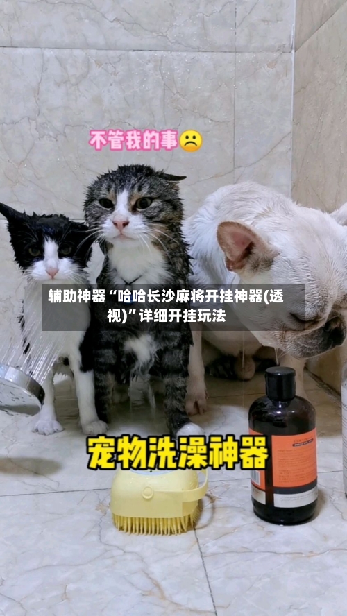 辅助神器“哈哈长沙麻将开挂神器(透视)”详细开挂玩法-第3张图片