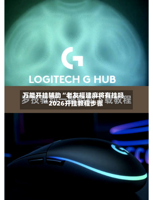 万能开挂辅助“老友福建麻将有挂吗”2026开挂教程步骤-第2张图片