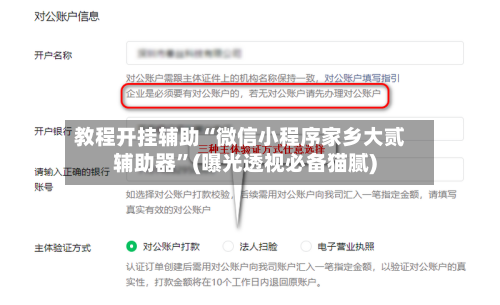 教程开挂辅助“微信小程序家乡大贰辅助器”(曝光透视必备猫腻)-第1张图片