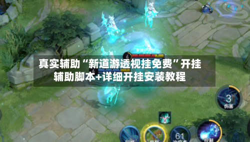 真实辅助“新道游透视挂免费”开挂辅助脚本+详细开挂安装教程-第1张图片