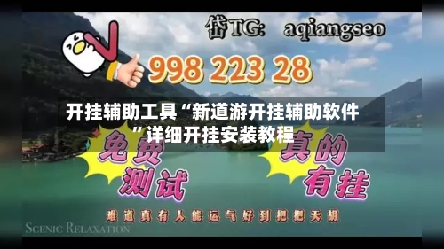 开挂辅助工具“新道游开挂辅助软件”详细开挂安装教程-第2张图片