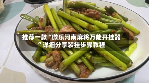 推荐一款“微乐河南麻将万能开挂器”详细分享装挂步骤教程-第2张图片