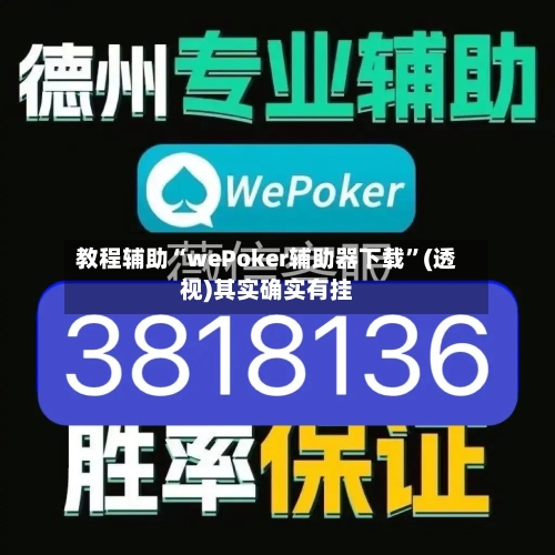 教程辅助“wePoker辅助器下载”(透视)其实确实有挂-第2张图片