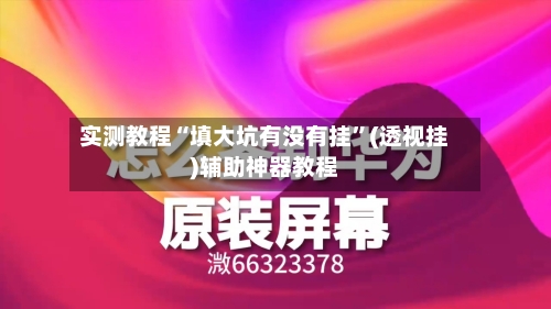 实测教程“填大坑有没有挂”(透视挂)辅助神器教程-第2张图片