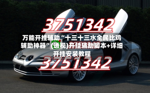 万能开挂辅助“十三十三水全民比鸡辅助神器”(透视)开挂辅助脚本+详细开挂安装教程-第2张图片