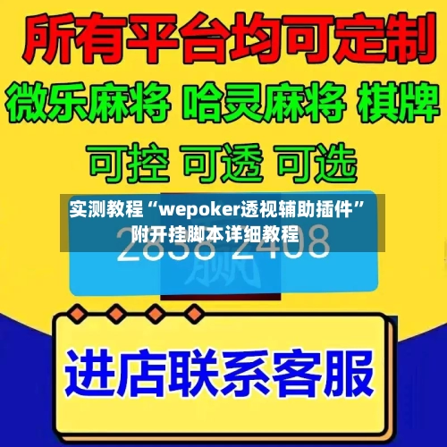 实测教程“wepoker透视辅助插件”附开挂脚本详细教程-第2张图片