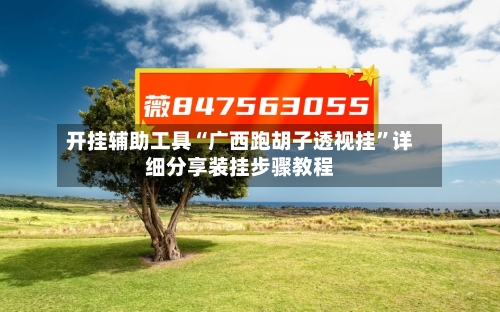 开挂辅助工具“广西跑胡子透视挂”详细分享装挂步骤教程-第1张图片