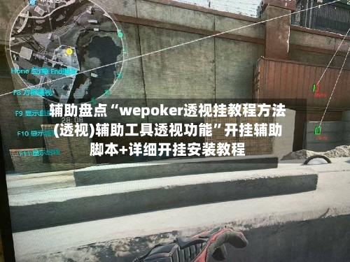 辅助盘点“wepoker透视挂教程方法(透视)辅助工具透视功能”开挂辅助脚本+详细开挂安装教程-第2张图片