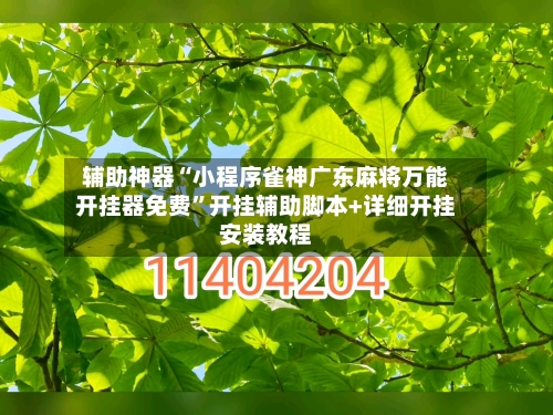 辅助神器“小程序雀神广东麻将万能开挂器免费	”开挂辅助脚本+详细开挂安装教程-第2张图片