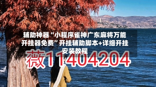 辅助神器“小程序雀神广东麻将万能开挂器免费”开挂辅助脚本+详细开挂安装教程-第3张图片