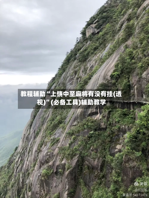 教程辅助“上饶中至麻将有没有挂(透视)”(必备工具)辅助教学-第2张图片