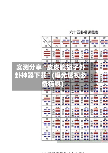 实测分享“皮皮跑胡子外卦神器下载”(曝光透视必备猫腻)-第1张图片