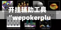 开挂辅助工具“wepokerplus德州局辅助(透视)	”(必备工具)辅助教学-第1张图片