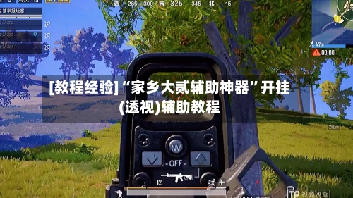 [教程经验]“家乡大贰辅助神器	”开挂(透视)辅助教程-第1张图片