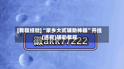 [教程经验]“家乡大贰辅助神器”开挂(透视)辅助教程-第2张图片