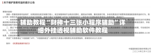 辅助教程“财神十三张小程序辅助”详细外挂透视辅助软件教程-第2张图片
