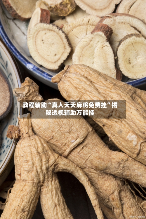 教程辅助“真人天天麻将免费挂	”揭秘透视辅助万能挂-第1张图片