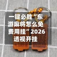 一键必胜“东游麻将怎么免费用挂	”2026透视开挂-第1张图片