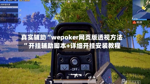 真实辅助“wepoker网页版透视方法”开挂辅助脚本+详细开挂安装教程-第1张图片