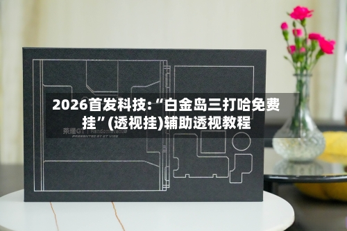 2026首发科技:“白金岛三打哈免费挂”(透视挂)辅助透视教程-第2张图片
