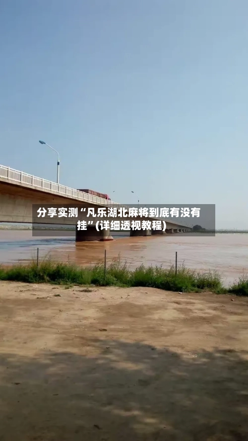 分享实测“凡乐湖北麻将到底有没有挂”(详细透视教程)-第3张图片