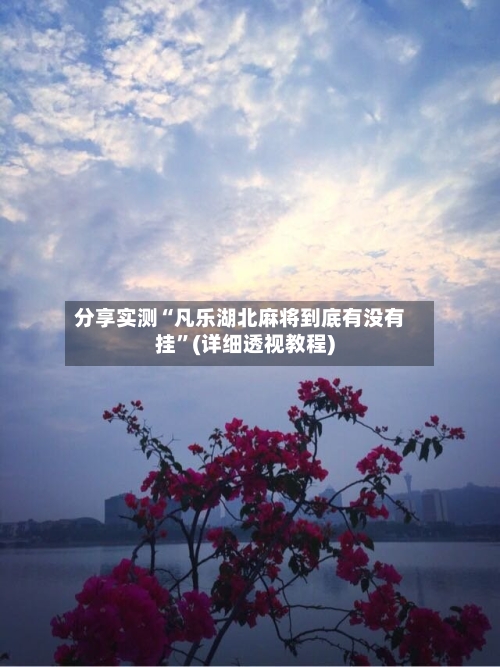 分享实测“凡乐湖北麻将到底有没有挂”(详细透视教程)-第1张图片