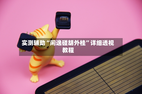 实测辅助“闲逸碰胡外桂	”详细透视教程-第2张图片