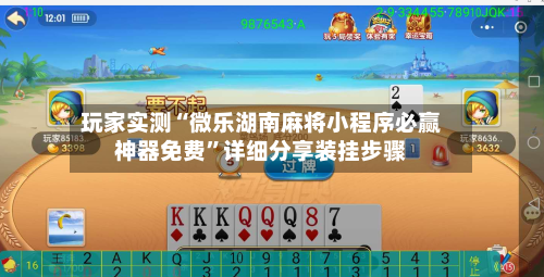 玩家实测“微乐湖南麻将小程序必赢神器免费	”详细分享装挂步骤-第2张图片