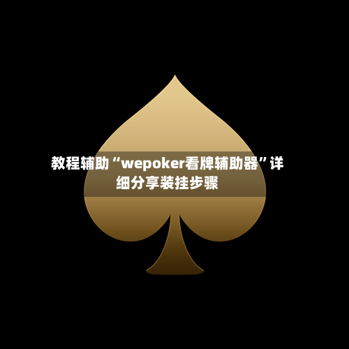 教程辅助“wepoker看牌辅助器	”详细分享装挂步骤-第2张图片