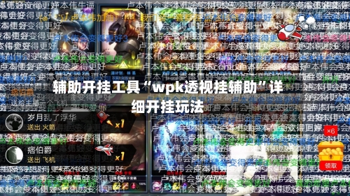 辅助开挂工具“wpk透视挂辅助	”详细开挂玩法-第2张图片