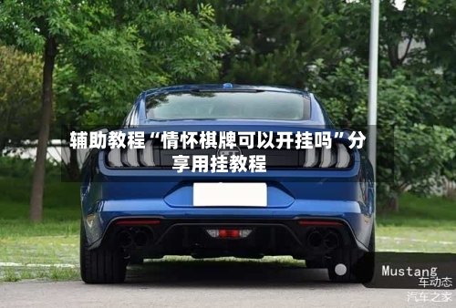 辅助教程“情怀棋牌可以开挂吗”分享用挂教程-第2张图片