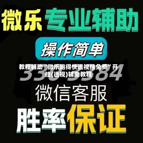 教程辅助“微乐跑得快透视挂免费	”开挂(透视)辅助教程-第2张图片