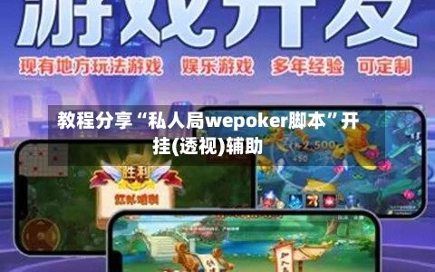 教程分享“私人局wepoker脚本”开挂(透视)辅助-第1张图片