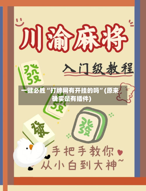 一键必胜“打牌网有开挂的吗”(原来确实是有插件)-第1张图片