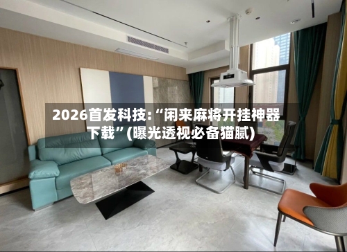 2026首发科技:“闲来麻将开挂神器下载”(曝光透视必备猫腻)-第3张图片