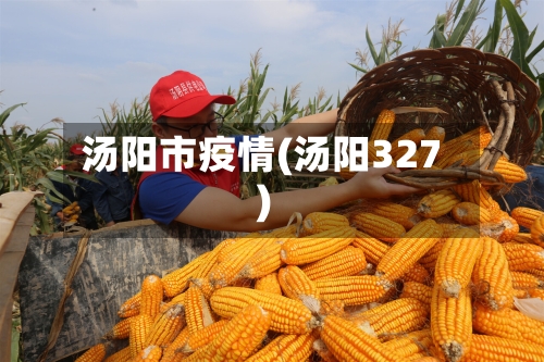 汤阳市疫情(汤阳327)-第2张图片