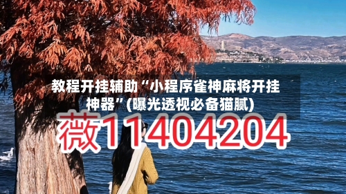 教程开挂辅助“小程序雀神麻将开挂神器	”(曝光透视必备猫腻)-第2张图片
