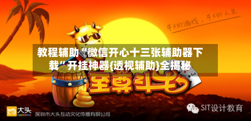 教程辅助“微信开心十三张辅助器下载”开挂神器{透视辅助}全揭秘-第1张图片