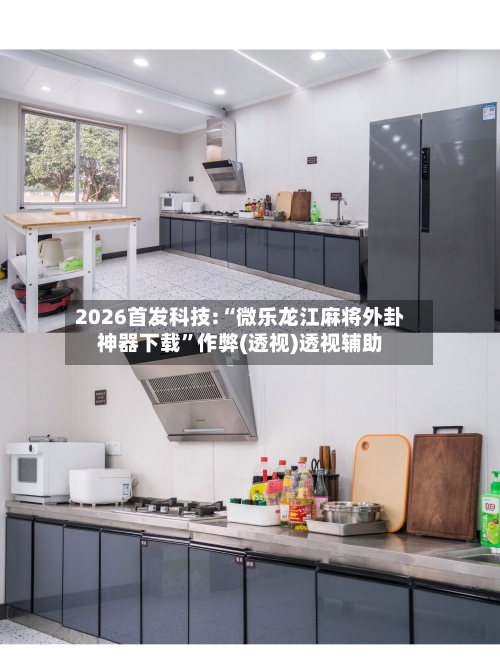 2026首发科技:“微乐龙江麻将外卦神器下载”作弊(透视)透视辅助-第1张图片