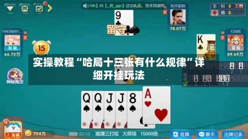 实操教程“哈局十三张有什么规律	”详细开挂玩法-第3张图片