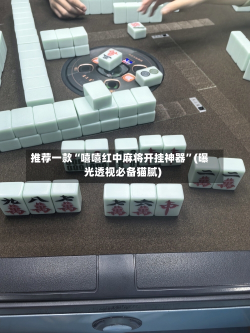 推荐一款“嘻嘻红中麻将开挂神器”(曝光透视必备猫腻)-第2张图片