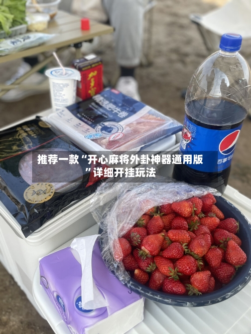 推荐一款“开心麻将外卦神器通用版”详细开挂玩法-第1张图片