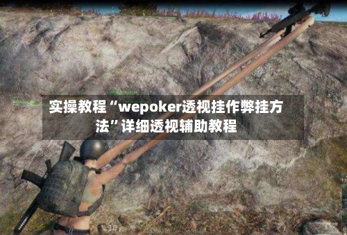 实操教程“wepoker透视挂作弊挂方法	”详细透视辅助教程-第1张图片