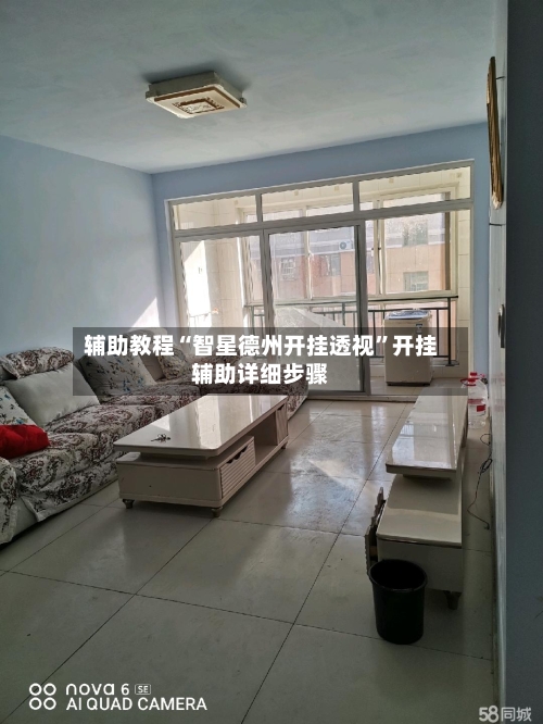 辅助教程“智星德州开挂透视”开挂辅助详细步骤-第3张图片