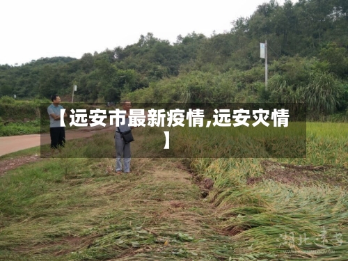 【远安市最新疫情,远安灾情】-第3张图片