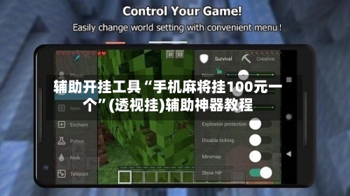 辅助开挂工具“手机麻将挂100元一个”(透视挂)辅助神器教程-第3张图片